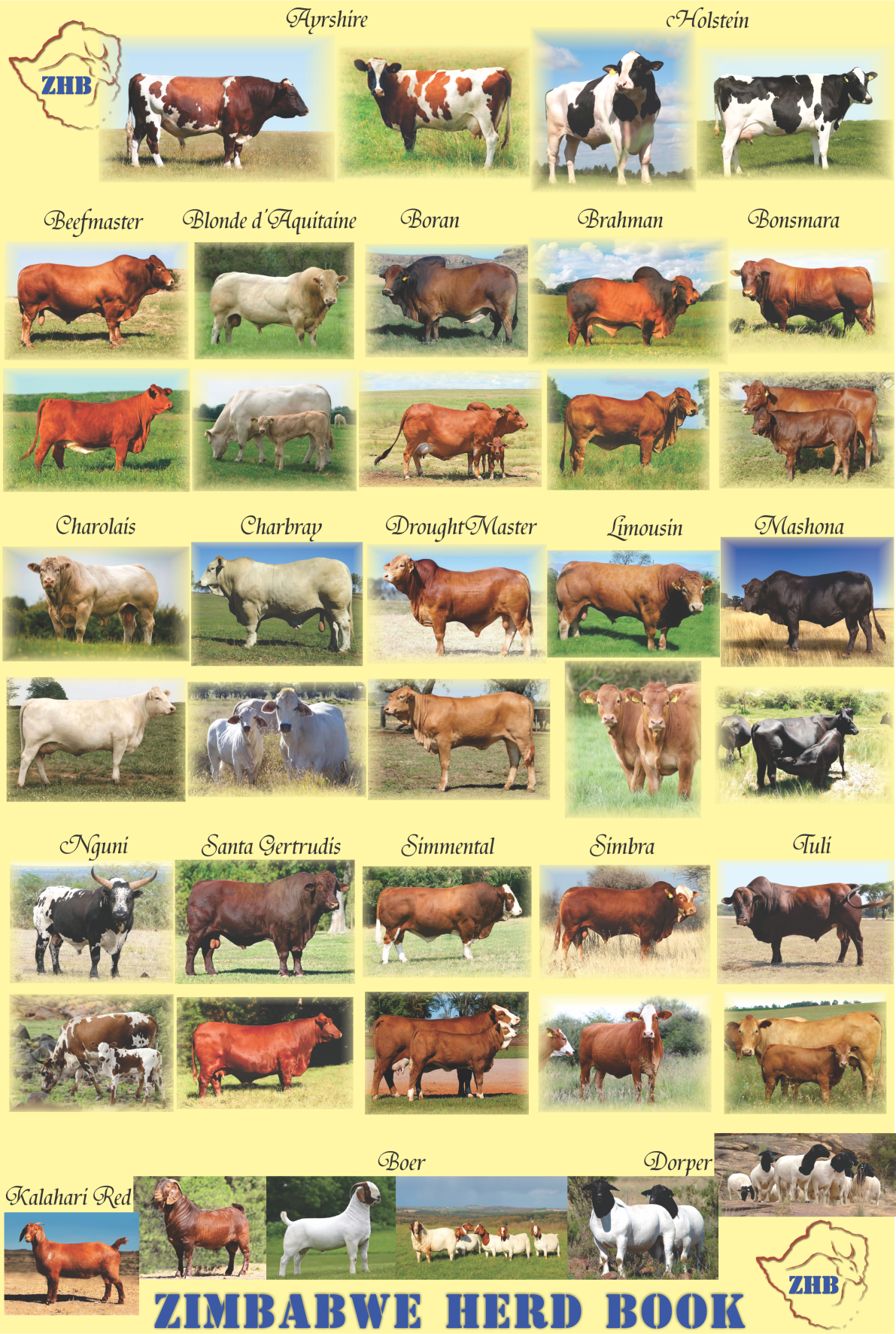 Livestock-ZHB-Breeds-Collage