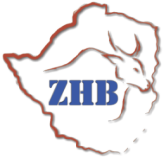 ZHB logo 158