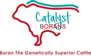 Catalyst-borans-logo
